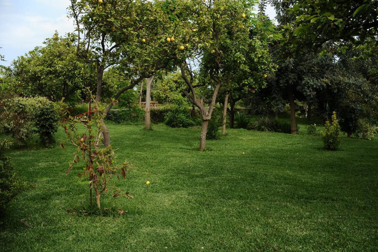 Tenuta Santa Tecla Ачиреале Экстерьер фото